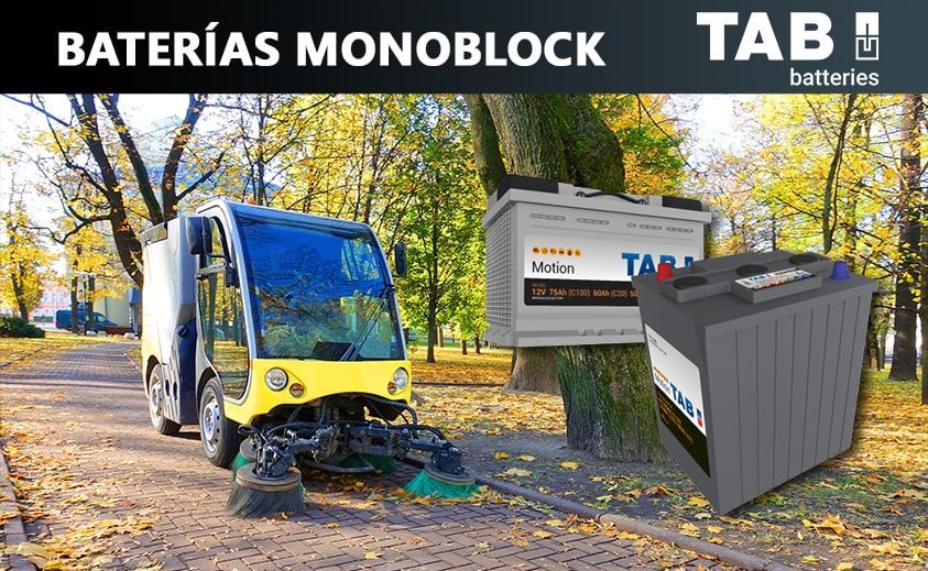 Batería TAB, Monoblock 190Ah (C100)